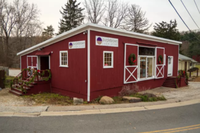 Conservation Workshop